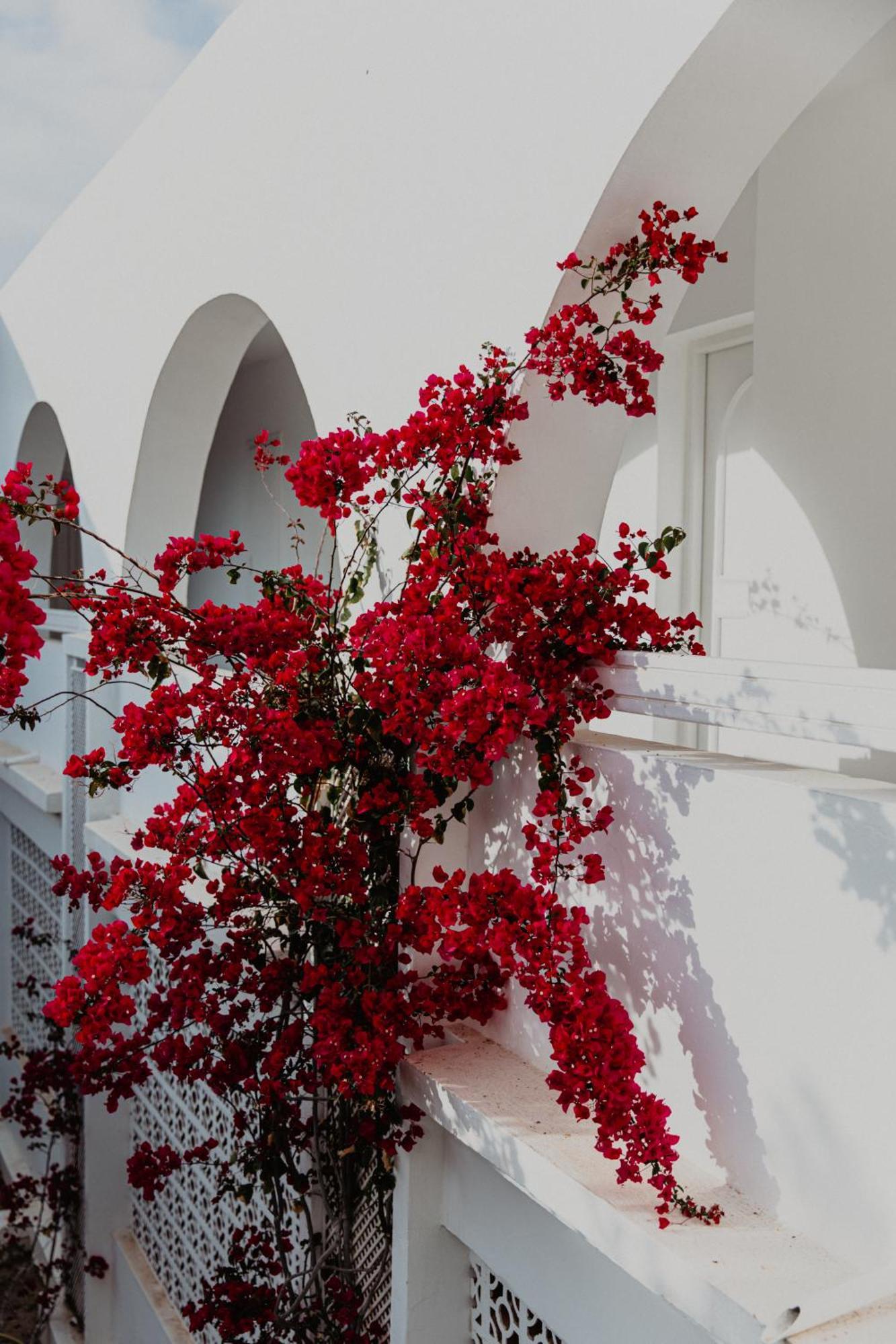 Hotel Bougainvillier Djerba Тагермесс Экстерьер фото
